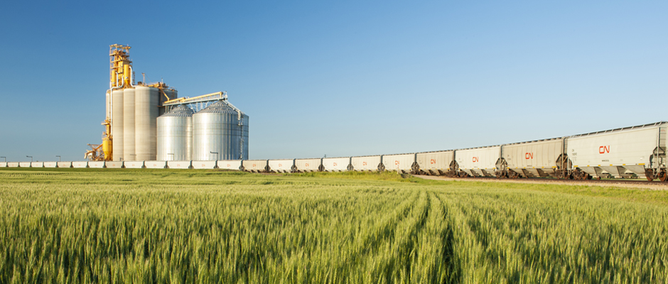 The Evolution of Grain Processing 