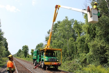 Advancing Economic Reconciliation Together with Our Partners - Davey Tree