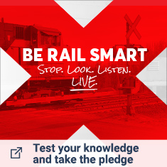 Red Cross Pledge Button